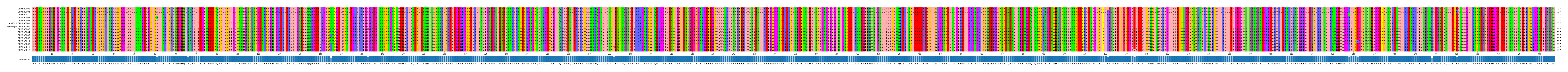 Multiple Alignments (by translate haplotype similarity)