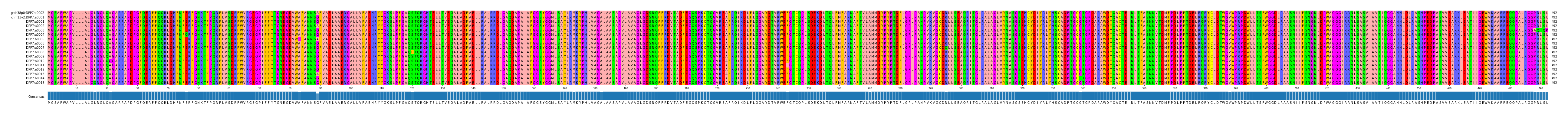 Multiple Alignments (by translate haplotype frequency)