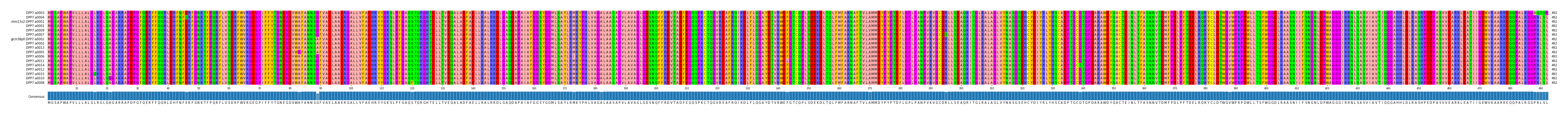 Multiple Alignments (by translate haplotype similarity)