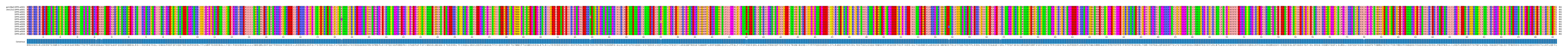 Multiple Alignments (by translate haplotype frequency)