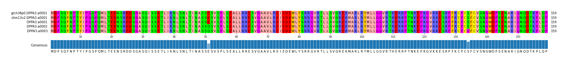 Multiple Alignments (by translate haplotype similarity)