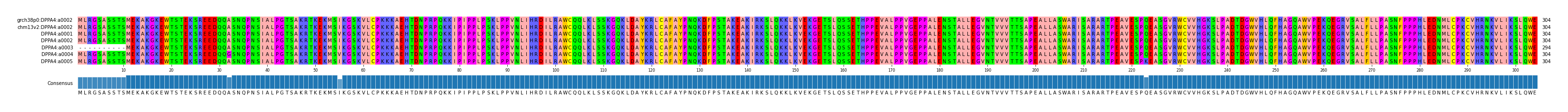 Multiple Alignments (by translate haplotype frequency)