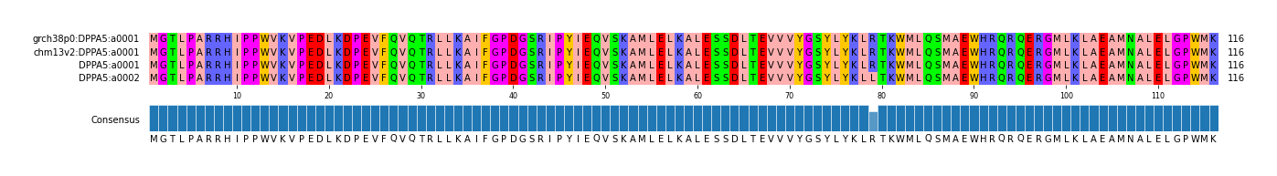 Multiple Alignments (by translate haplotype similarity)
