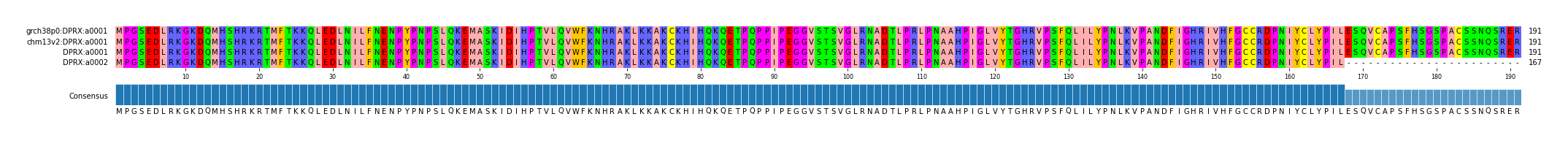 Multiple Alignments (by translate haplotype similarity)