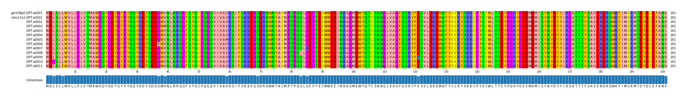 Multiple Alignments (by translate haplotype frequency)