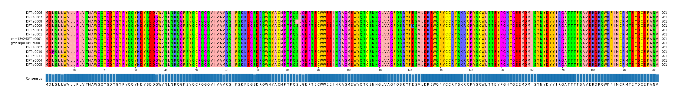 Multiple Alignments (by translate haplotype similarity)