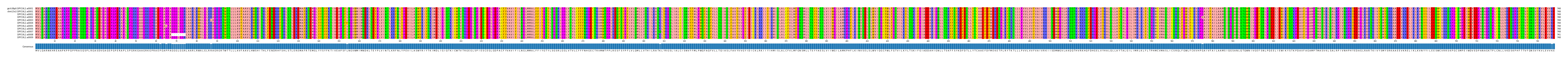 Multiple Alignments (by translate haplotype frequency)
