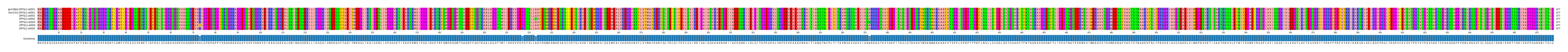 Multiple Alignments (by translate haplotype frequency)