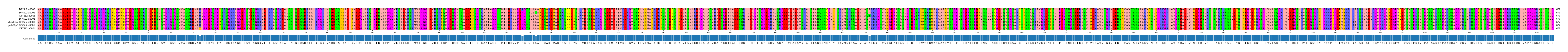 Multiple Alignments (by translate haplotype similarity)
