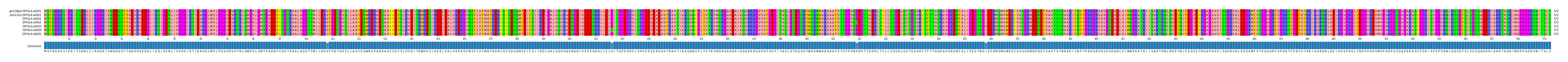 Multiple Alignments (by translate haplotype frequency)