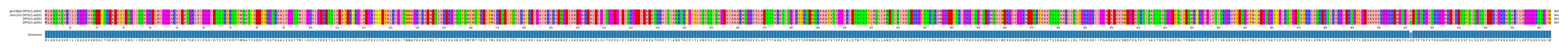 Multiple Alignments (by translate haplotype similarity)