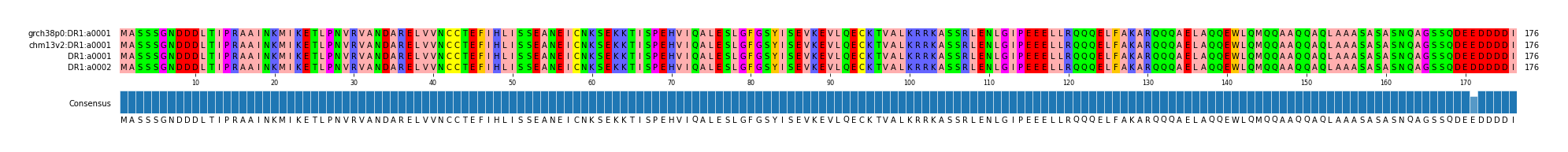 Multiple Alignments (by translate haplotype similarity)