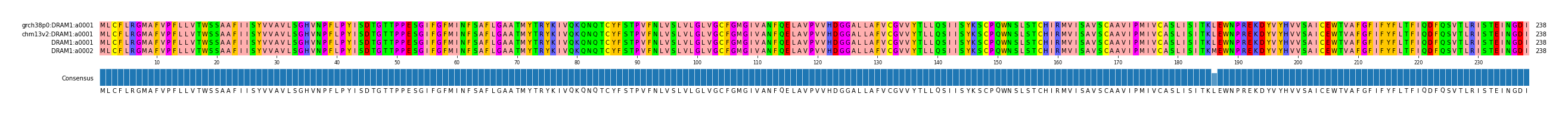 Multiple Alignments (by translate haplotype similarity)