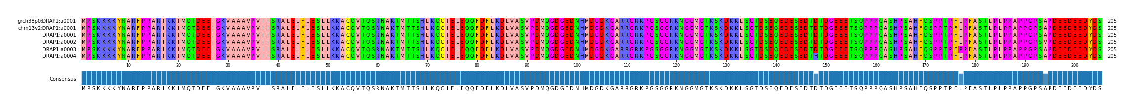 Multiple Alignments (by translate haplotype frequency)