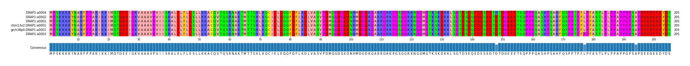 Multiple Alignments (by translate haplotype similarity)