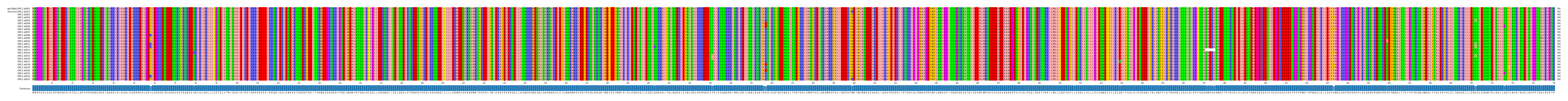 Multiple Alignments (by translate haplotype frequency)