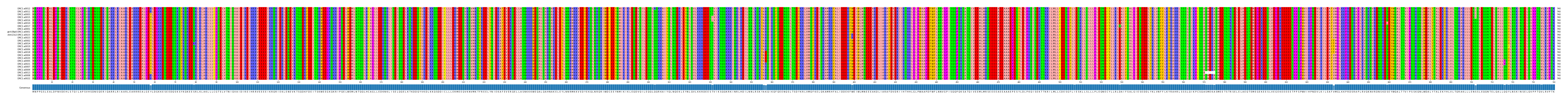Multiple Alignments (by translate haplotype similarity)