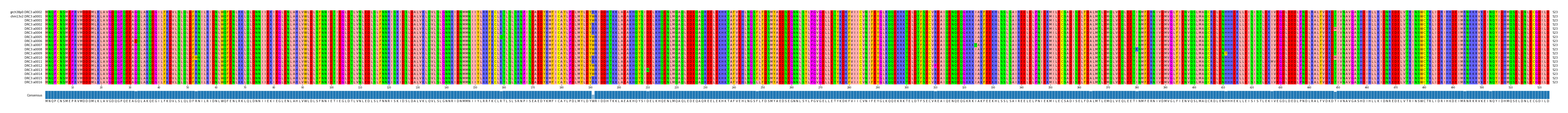 Multiple Alignments (by translate haplotype frequency)