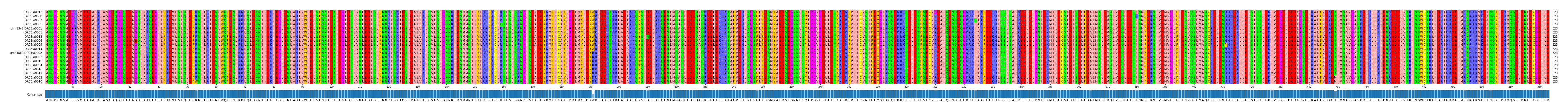 Multiple Alignments (by translate haplotype similarity)