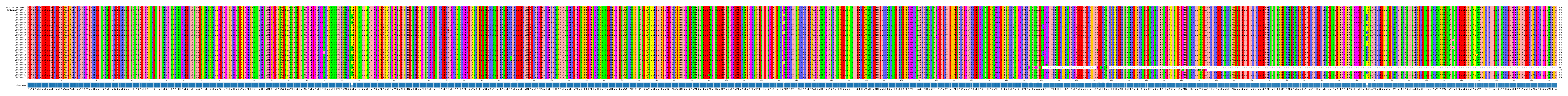 Multiple Alignments (by translate haplotype frequency)