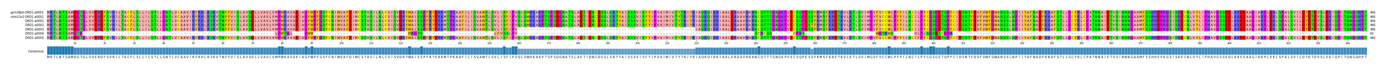 Multiple Alignments (by translate haplotype frequency)