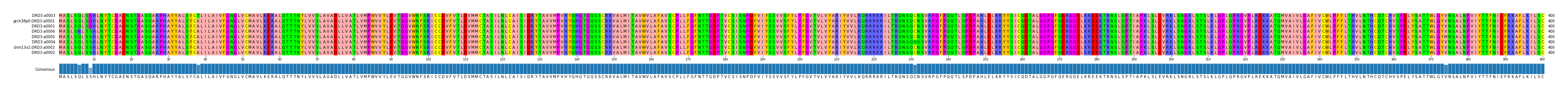 Multiple Alignments (by translate haplotype similarity)