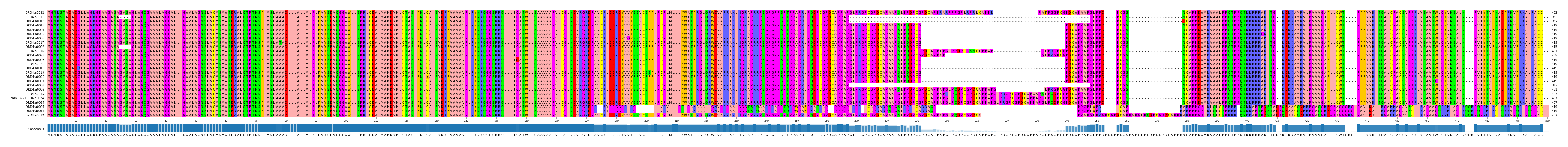 Multiple Alignments (by translate haplotype similarity)