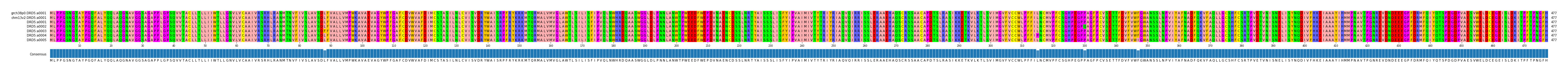 Multiple Alignments (by translate haplotype frequency)