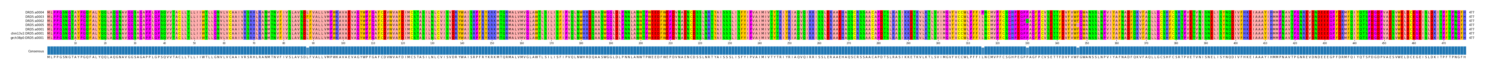 Multiple Alignments (by translate haplotype similarity)