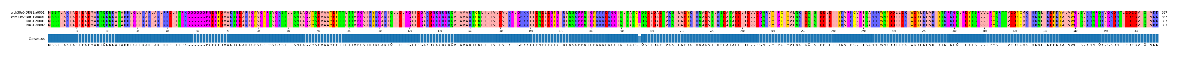 Multiple Alignments (by translate haplotype similarity)