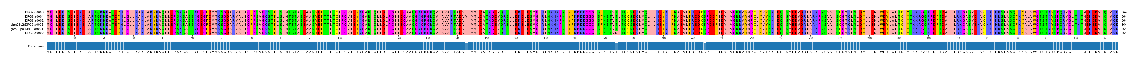 Multiple Alignments (by translate haplotype similarity)