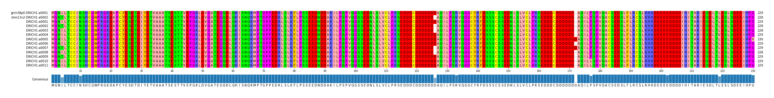 Multiple Alignments (by translate haplotype frequency)