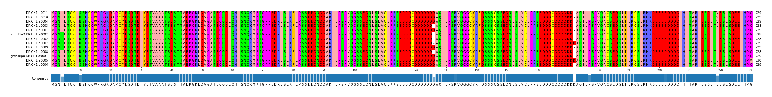 Multiple Alignments (by translate haplotype similarity)