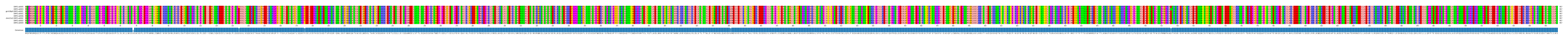 Multiple Alignments (by translate haplotype similarity)