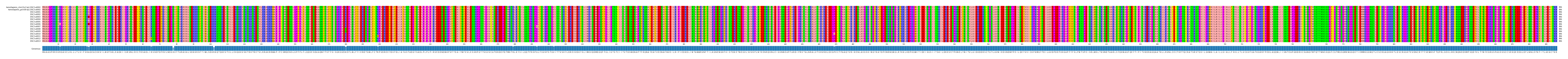 Multiple Alignments (by translate haplotype frequency)