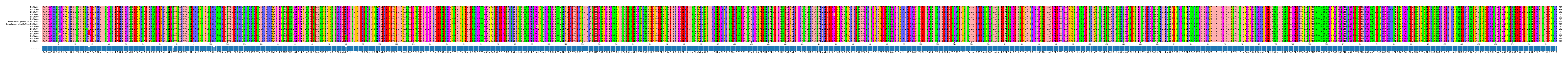 Multiple Alignments (by translate haplotype similarity)