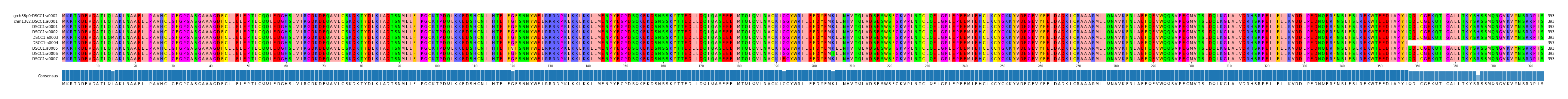 Multiple Alignments (by translate haplotype frequency)