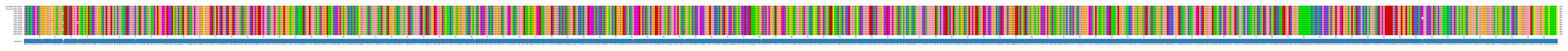 Multiple Alignments (by translate haplotype frequency)