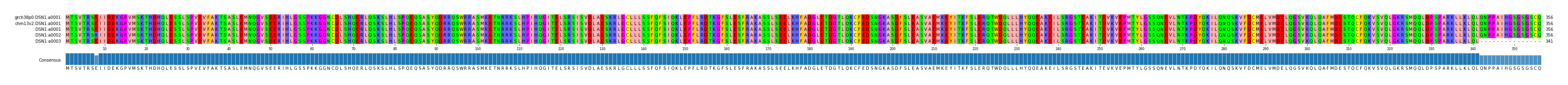 Multiple Alignments (by translate haplotype frequency)