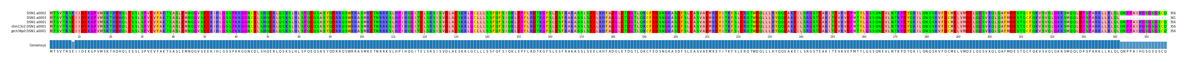 Multiple Alignments (by translate haplotype similarity)