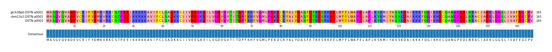 Multiple Alignments (by translate haplotype similarity)