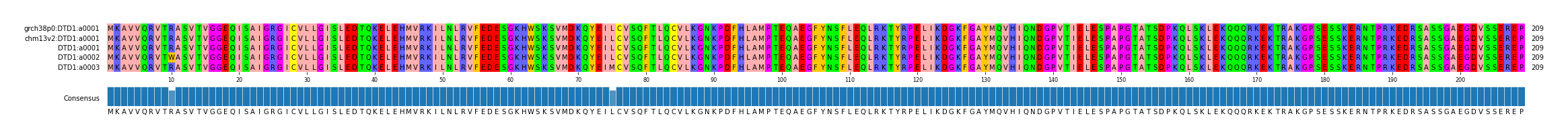 Multiple Alignments (by translate haplotype frequency)