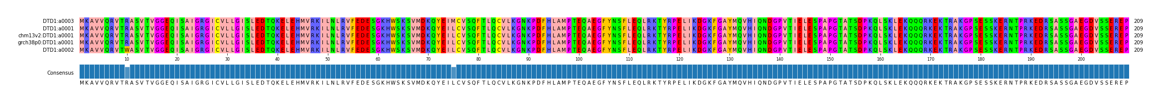 Multiple Alignments (by translate haplotype similarity)