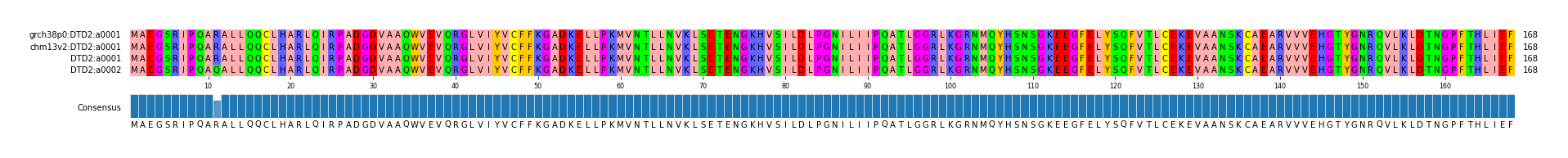 Multiple Alignments (by translate haplotype similarity)