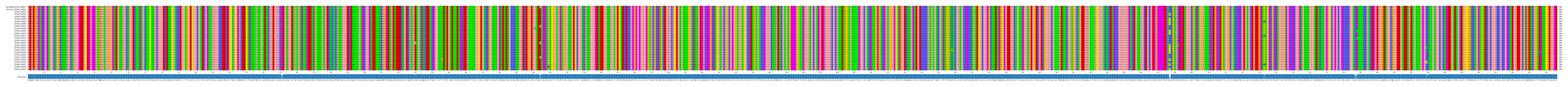 Multiple Alignments (by translate haplotype frequency)