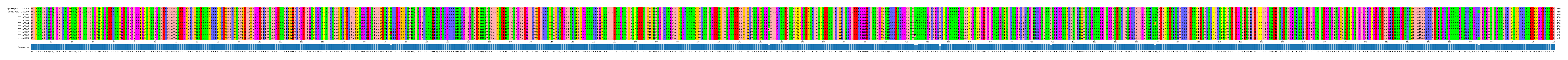 Multiple Alignments (by translate haplotype frequency)
