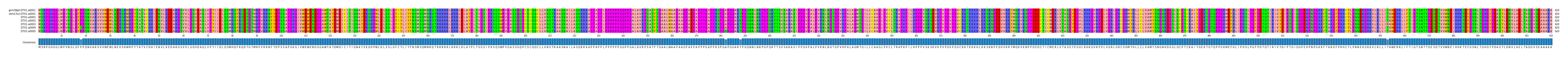 Multiple Alignments (by translate haplotype frequency)