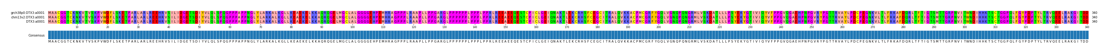 Multiple Alignments (by translate haplotype similarity)