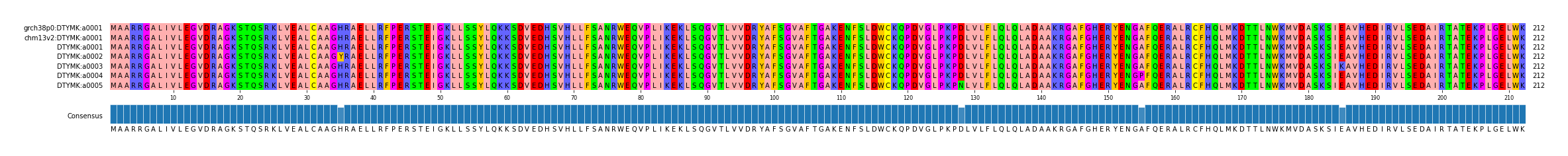 Multiple Alignments (by translate haplotype frequency)