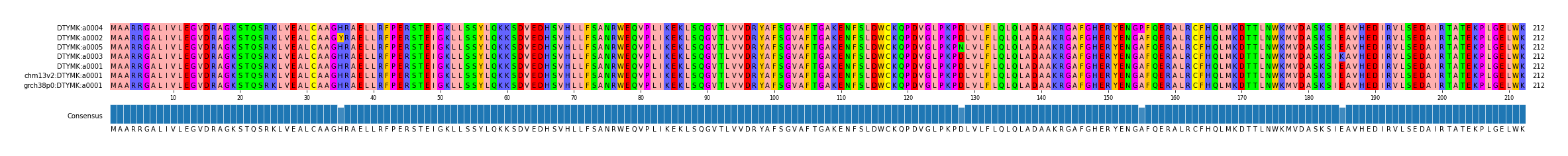 Multiple Alignments (by translate haplotype similarity)